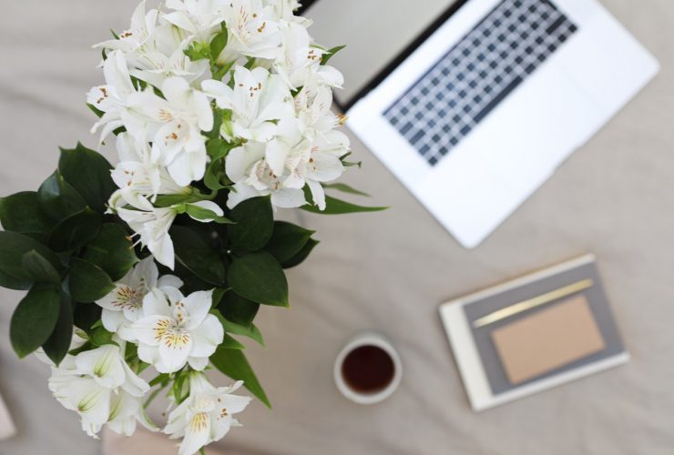 Graphics Design and Web Design