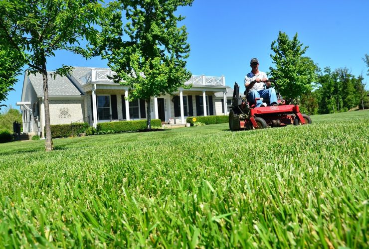 Hiring a Lawn Care