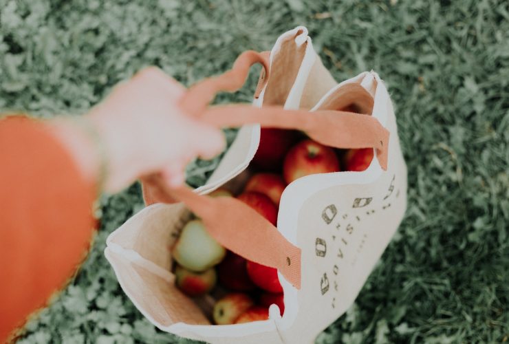 Nature-Wins-in-the-End-Become-Eco-Friendly