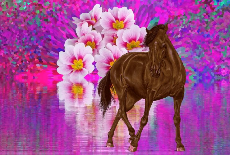 Safety-magnetic-stirrups